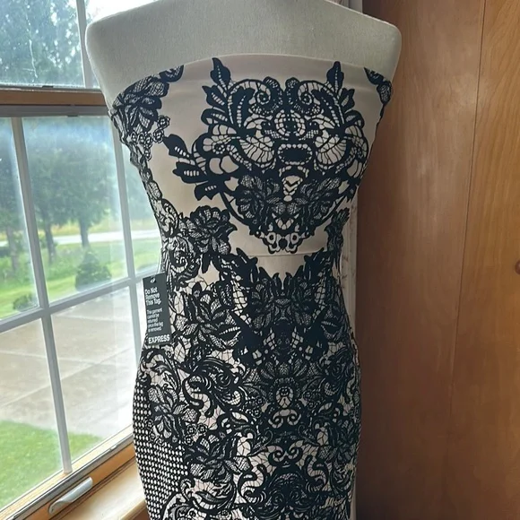 Express (NWT)- Black and White Strapless Sheath Dress - Picture 4 of 16